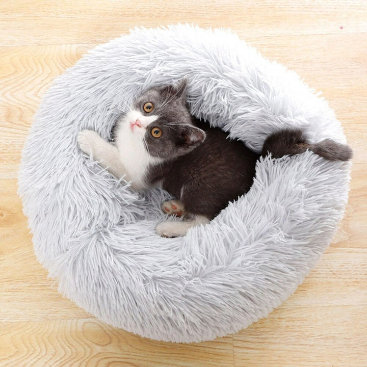 Soft - Katzen Kissen